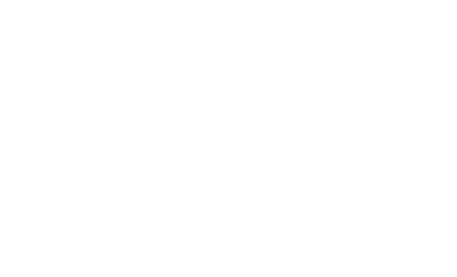 Proyecto ANII